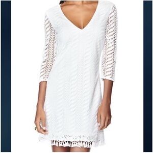 Lilly Pulitzer White Crochet Zebra Lace Dress (August 2014) Size L